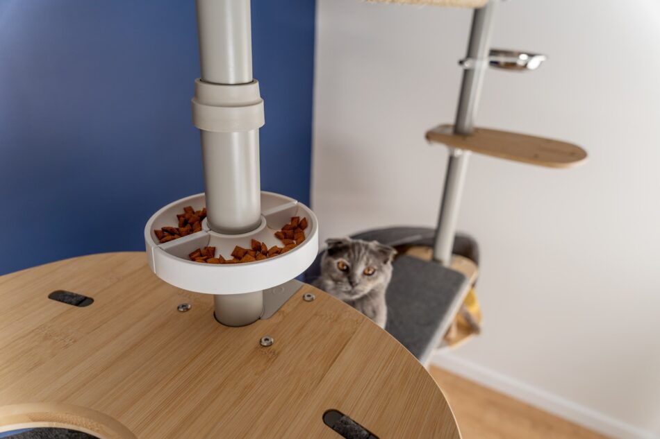Un gatto guarda il cibo sull’albero per gatti Freestyle della Omlet
