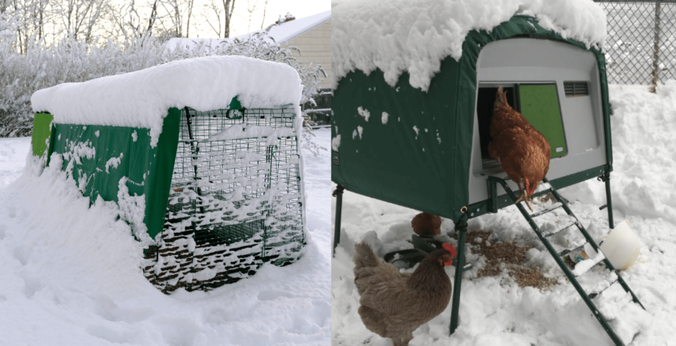 Collage di pollai Eglu di Omlet coperti di neve