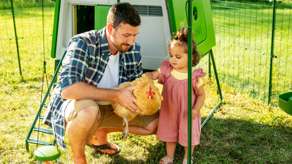 Uomo con una bambina che accarezza una gallina nel recinto Walk-In di Omlet