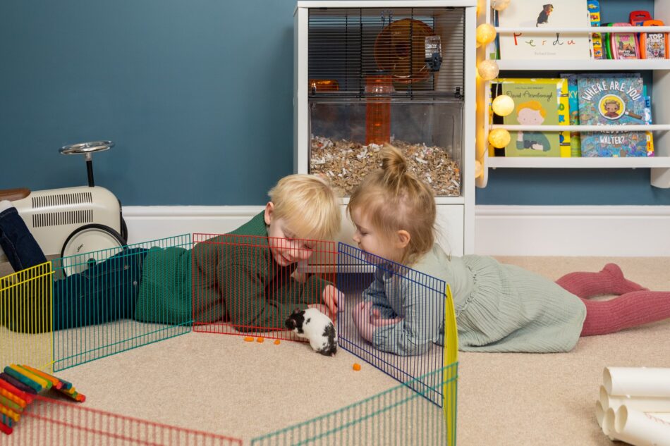 Due bambini guardano un criceto nel suo recinto, la gabbia Qute per criceti della Omlet sullo sfondo