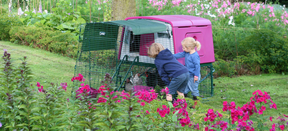 Due bambini guardano il pollaio rosa Eglu Cube della Omlet