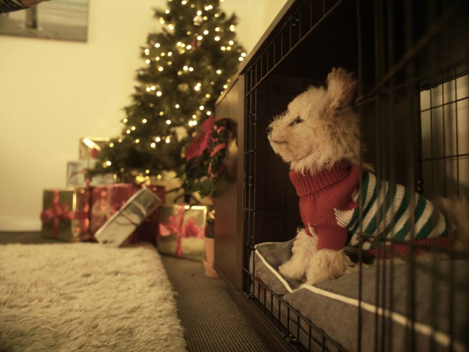 Cucciolo seduto in un kennel marrone Fido con un albero di Natale sullo sfondo
