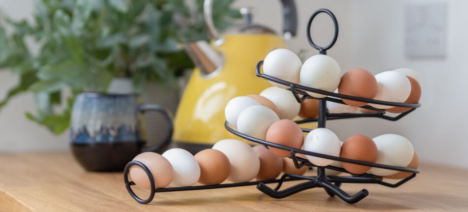 Uova di diversi colori su un porta uova della Omlet