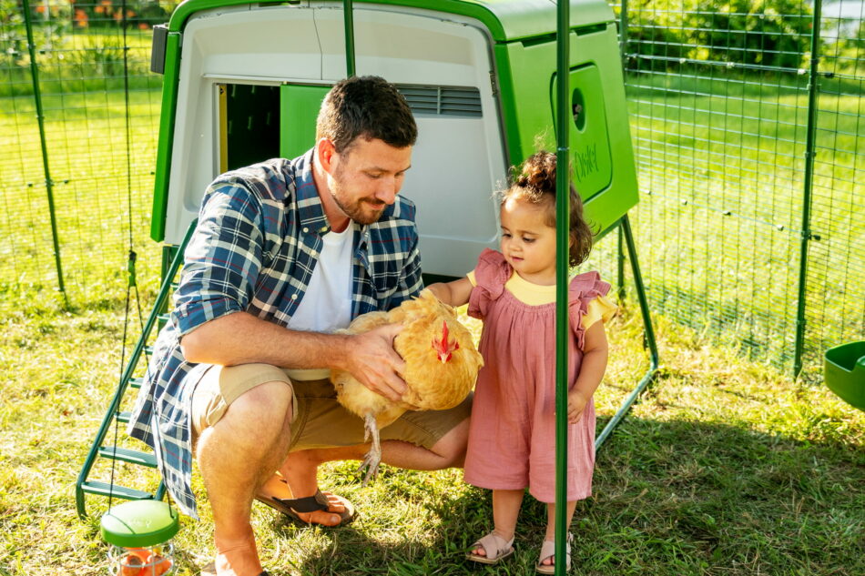 bambina piccola e il suo papà che accarezzano una gallina di fronte a eglu cube