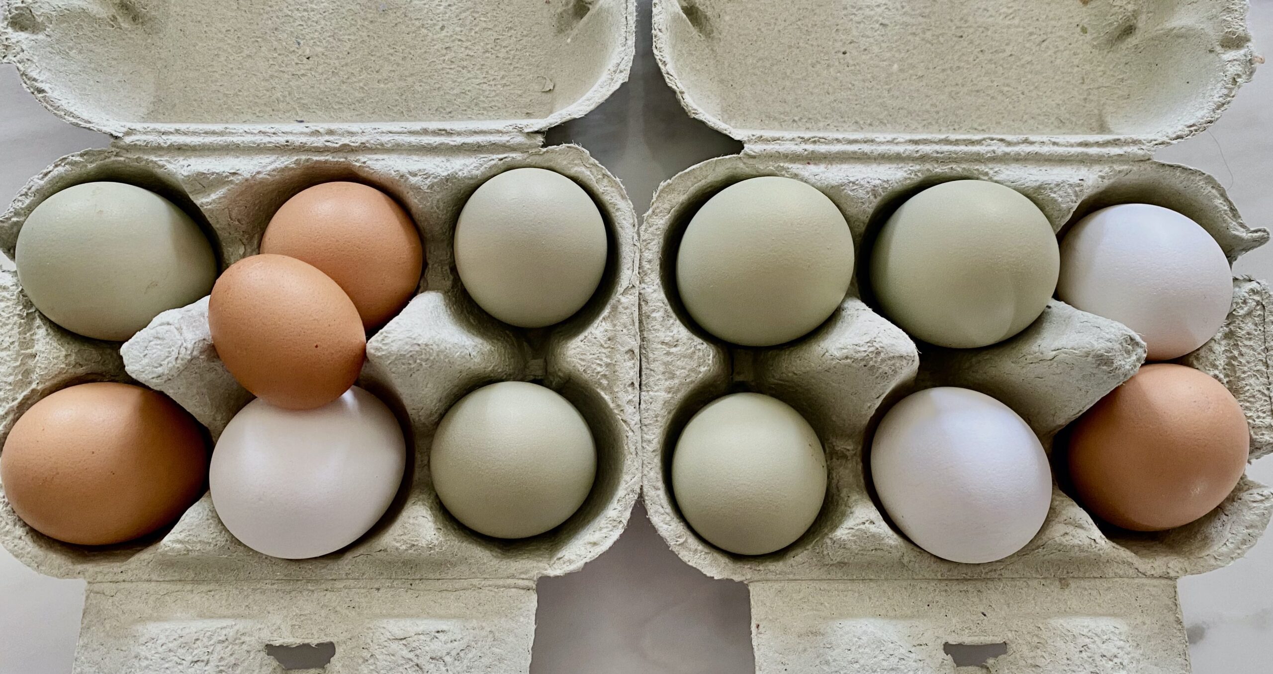 Uova in scatole porta uova