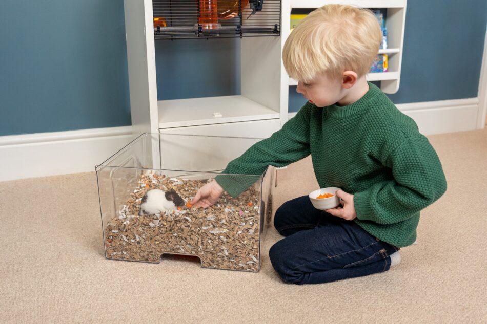 Un ragazzo maneggia un hamster, gabbia per criceti e gerbilli Qute della Omlet