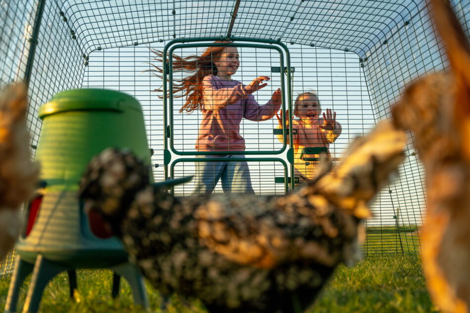 due bambine che aprono la porta del recinto del pollaio eglu pro