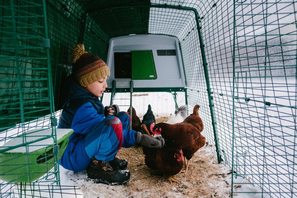Un ragazzo seduto in un recinto per galline Eglu in mezzo alla neve