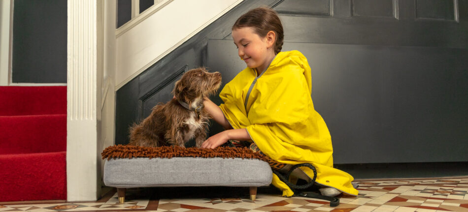 Una ragazza guarda un cane su una cuccia Topology della Omlet