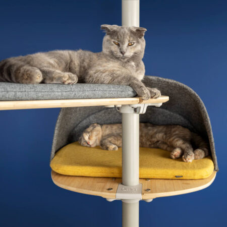 Due gatti si rilassano sull’albero Freestyle 