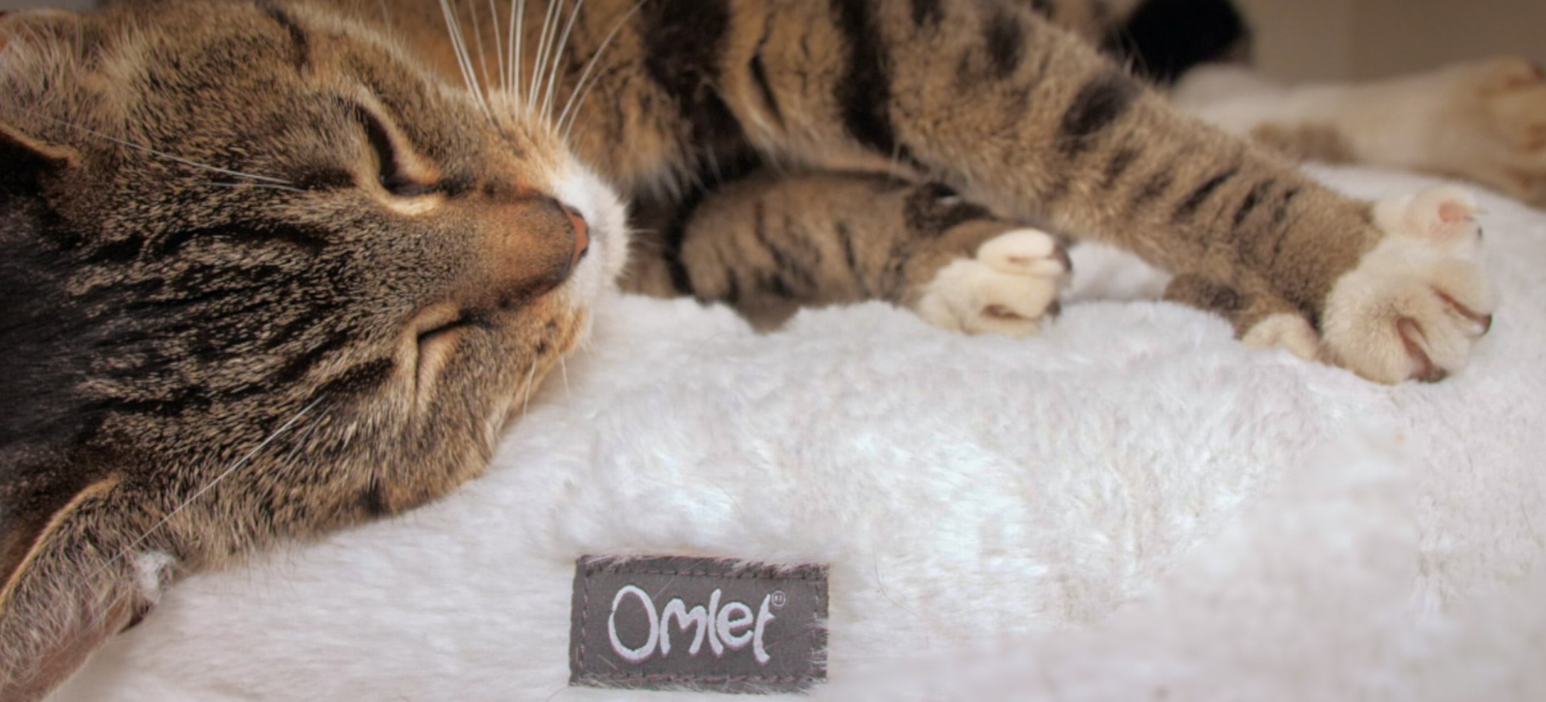 Un gatto che dorme sul suo cuscino bianco Maya Donut Mochi