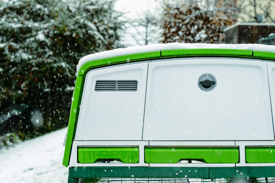 Eglu Pro nella neve