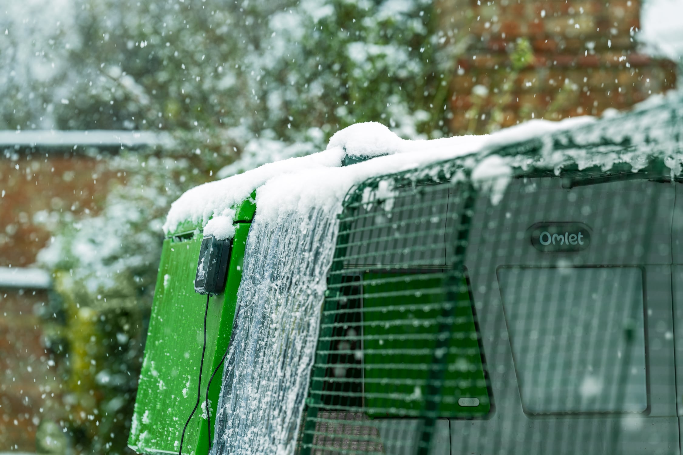 Eglu Pro sotto la neve in giardino con copertura