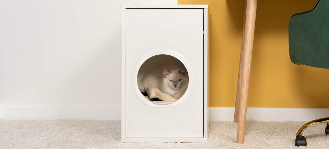 Un gatto nascosto in una cuccia riparata, elegante, mobile di design, Maya casa dei gatti