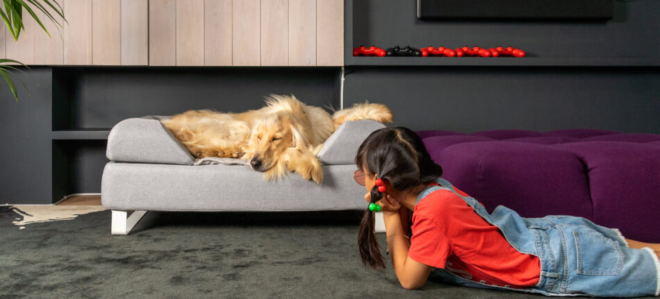 Una ragazza guarda un cane che dorme su una cuccia Topology della Omlet