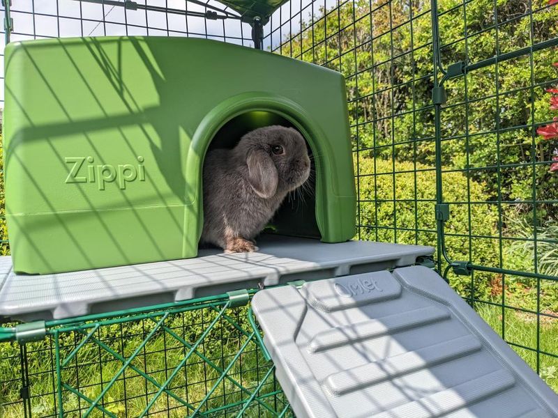 Coniglio in un rifugio Zippi verde su una piattaforma per conigli di Omlet