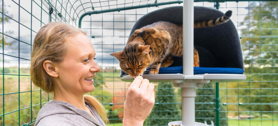 Gatto che interagisce con la sua padrona - il gatto è su un palo da esterno Freestyle in un Catio Omlet