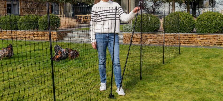 Il recinto e la rete metallica per pollai hanno proprietà uniche che permettono alle vostre galline di razzolare liberamente e proteggono il vostro giardino