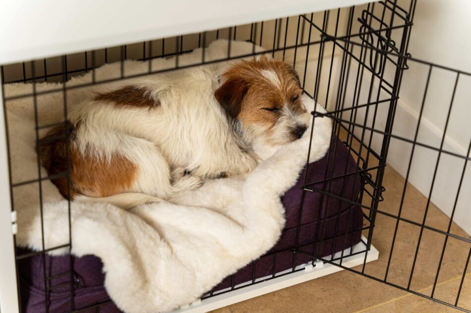 Terrier che dorme in un kennel Fido Studio con la coperta in pelle di pecora di Omlet