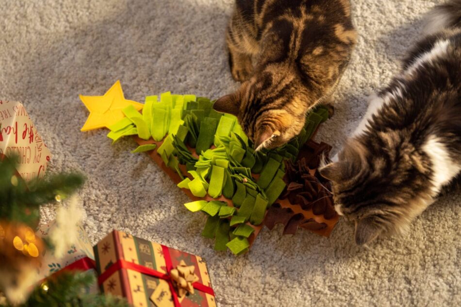 Due gatti che giocano con un giocattolo a forma di albero a Natale