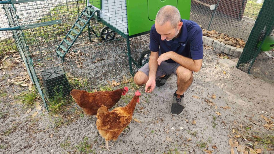 Jeremy Gary che dà da mangiare ai suoi polli accanto al pollaio Eglu Cube di Omlet