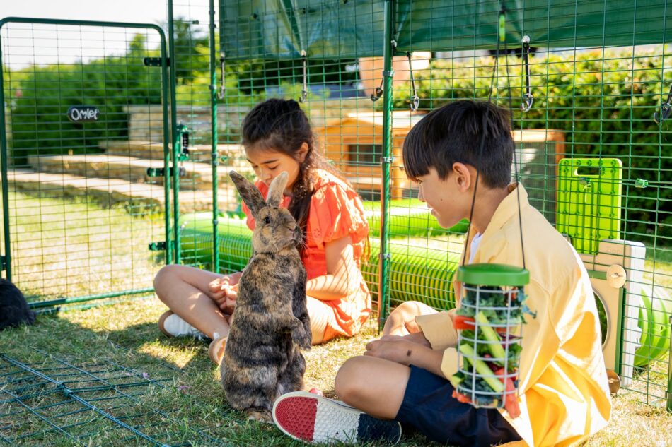 Due bambini all’esterno con il loro coniglio nel recinto Walk-In di Omlet 
