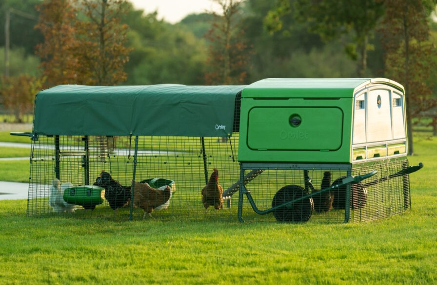 Pollaio Eglu Pro in un giardino con delle galline nel recinto annesso