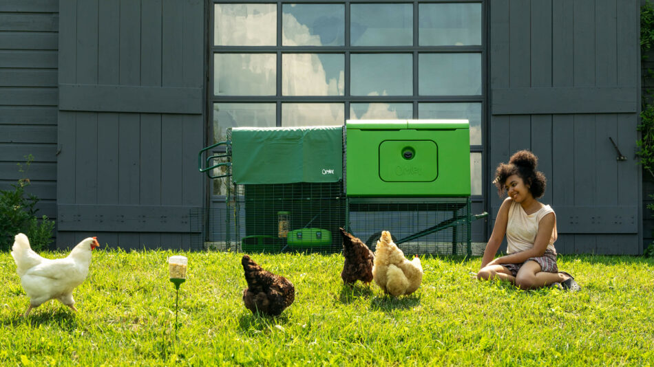 Ragazza seduta in giardino con delle galline che razzolano liberamente vicino a un Eglu Cube di Omlet