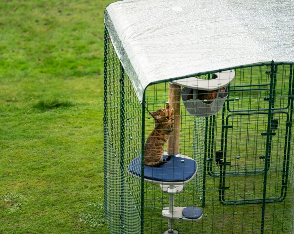 Albero per gatti da esterni Freestyle del Catio