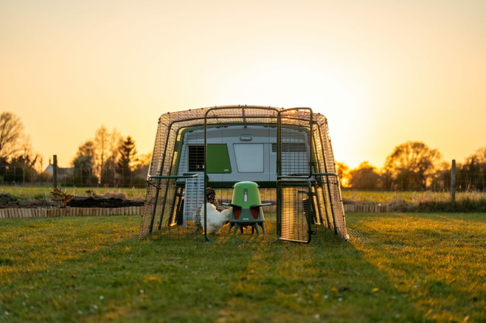 Pollaio Eglu Pro e mangiatoia Smart Zero-sprechi di Omlet al tramonto