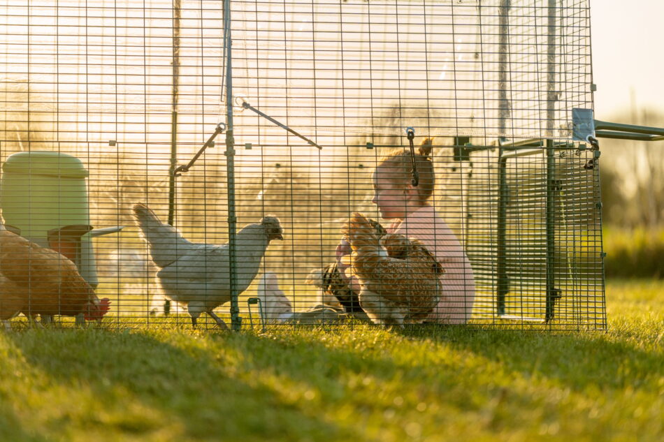 bambina piccola seduta con le galline in un recinto di eglu pro