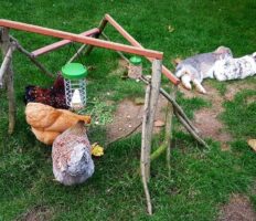 Conigli e galline all’aperto insieme con il dispenser Caddi