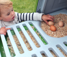 Un ragazzo raccoglie uova da un nido dell’Eglu